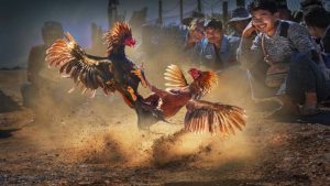 uu diem khi choi da ga online 300x169 1