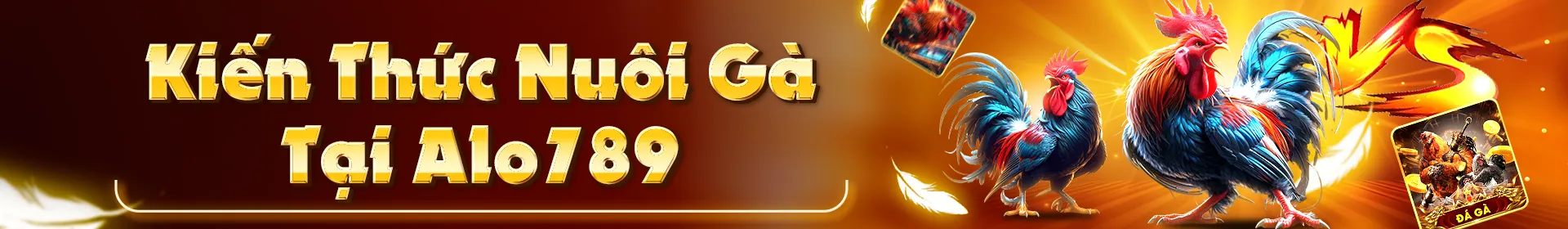 banner-kien-thuc-nuoi-ga-alo789